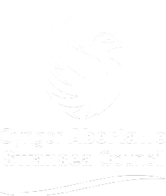 Swansea Council